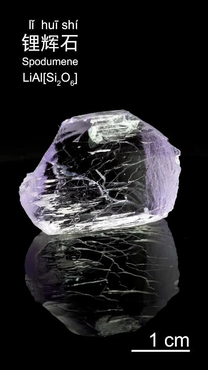 1705584455397741.jpg 微信图片_20240118212551.jpg
