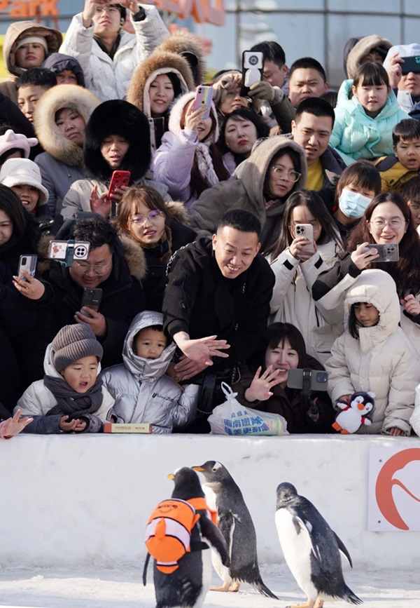 微信图片_20240219210327.jpg